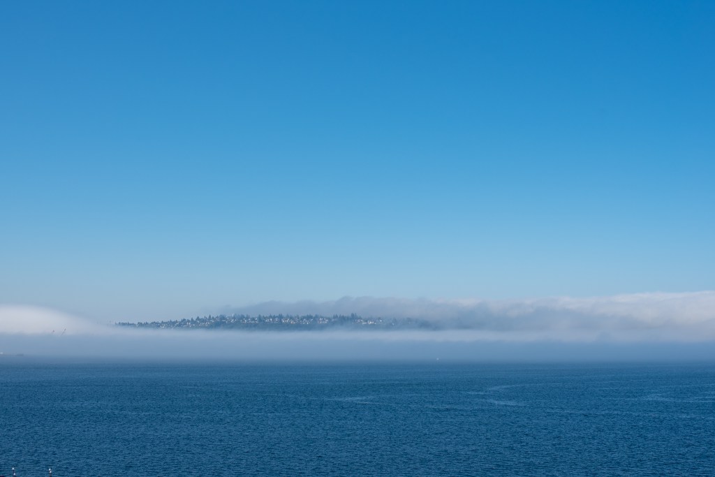 Look at all that fog!